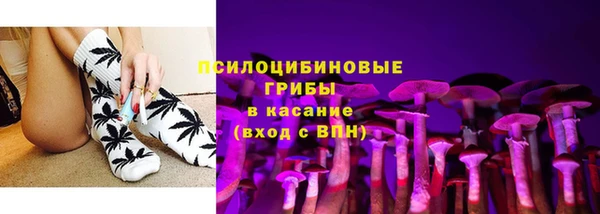 прущие грибы Киров