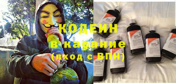 прущие грибы Киров