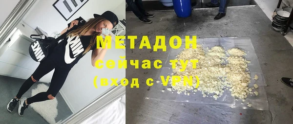 прущие грибы Киров
