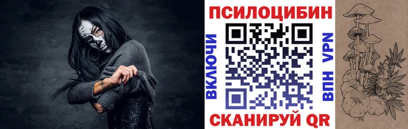 Купить где  Калтан  Псилоцибиновые грибы мицелий 